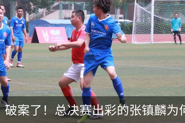破案了！总决赛出彩的张镇麟为何无缘21人名单？名记道出2原因